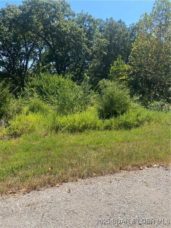 Lot 12 Witches Cove Boulevard - Photo 1