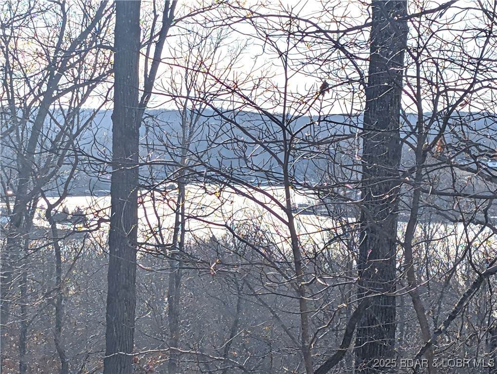 2021 Wilson Bend Road - Photo 1