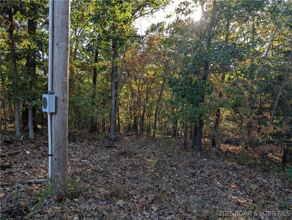 https://bt-photos.global.ssl.fastly.net/ozarks/orig_boomver_2_3580506-2.jpg