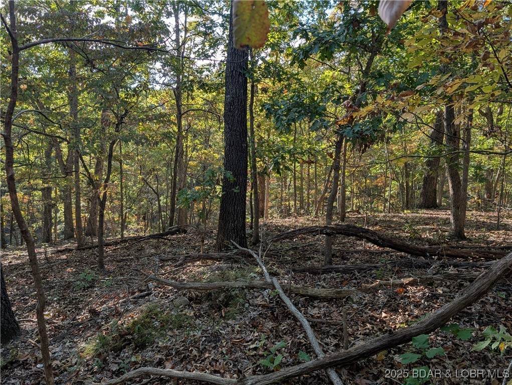 https://bt-photos.global.ssl.fastly.net/ozarks/orig_boomver_2_3580506-2.jpg