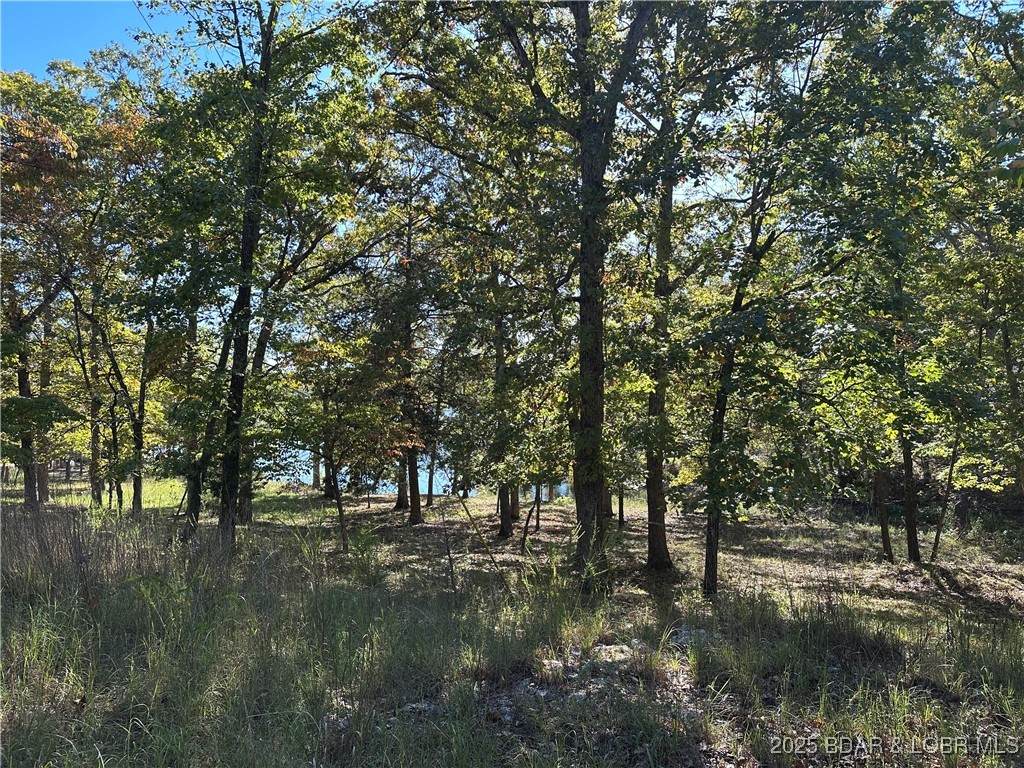 13 Little Lane - Photo 1