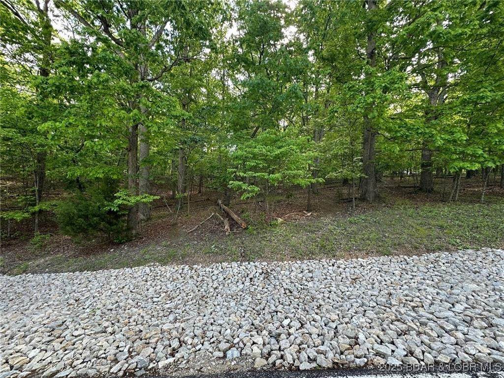 Lot 163 & 164 Imperial Point Drive - Photo 1