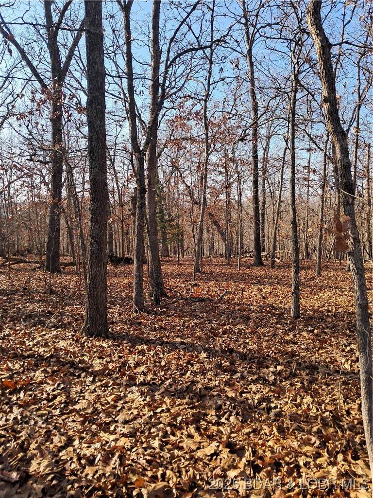 Lots 4 & 5 South Buck Creek Road - Photo 1