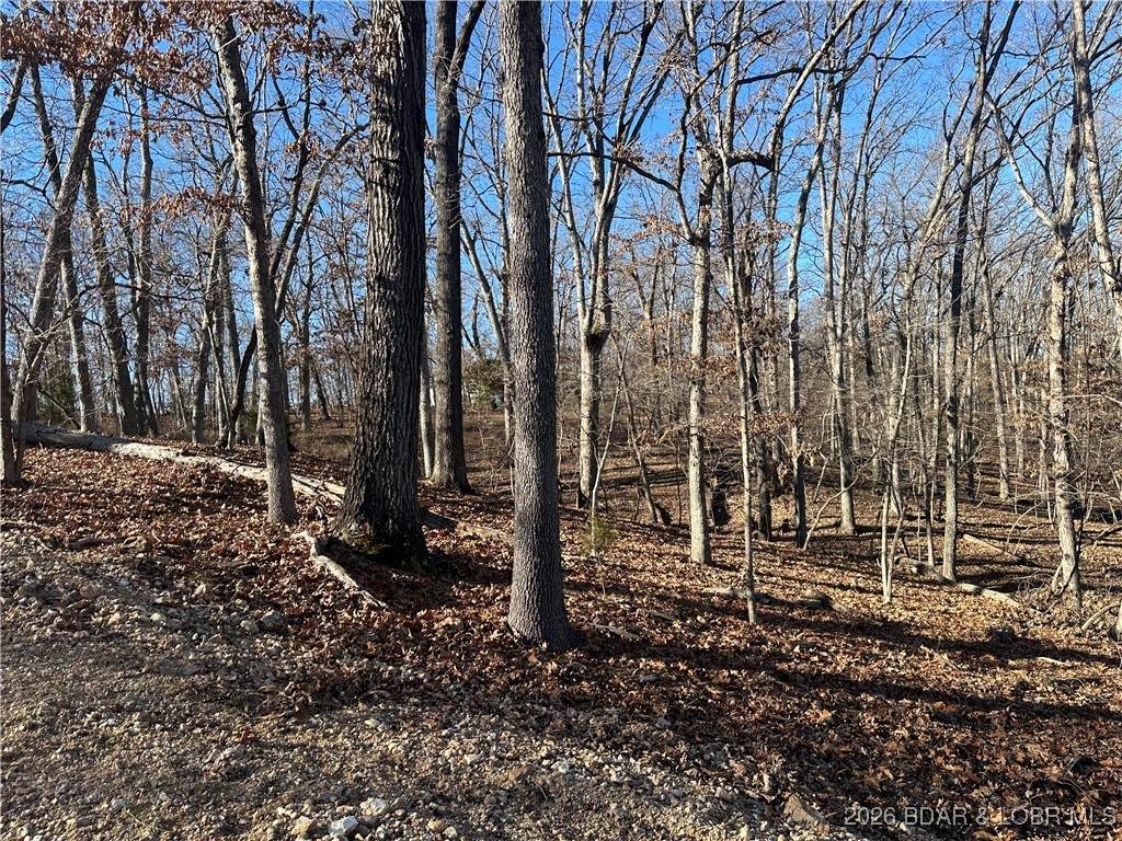 Lot 371 Cornette Cove #2 - Photo 1