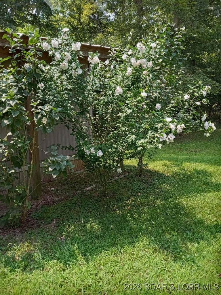 https://bt-photos.global.ssl.fastly.net/ozarks/orig_boomver_2_3583457-2.jpg