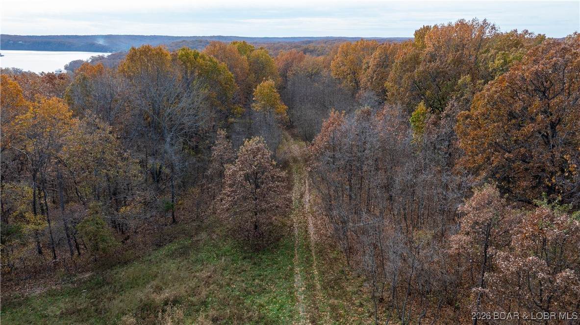 53 Acres Buckridge Road - Photo 1