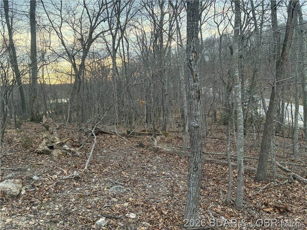 https://bt-photos.global.ssl.fastly.net/ozarks/orig_boomver_2_3586420-2.jpg