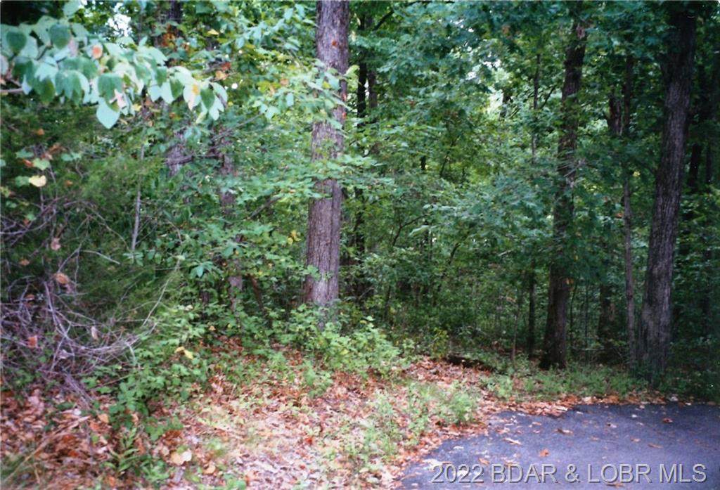 TBD Willow Ridge Road - Photo 1