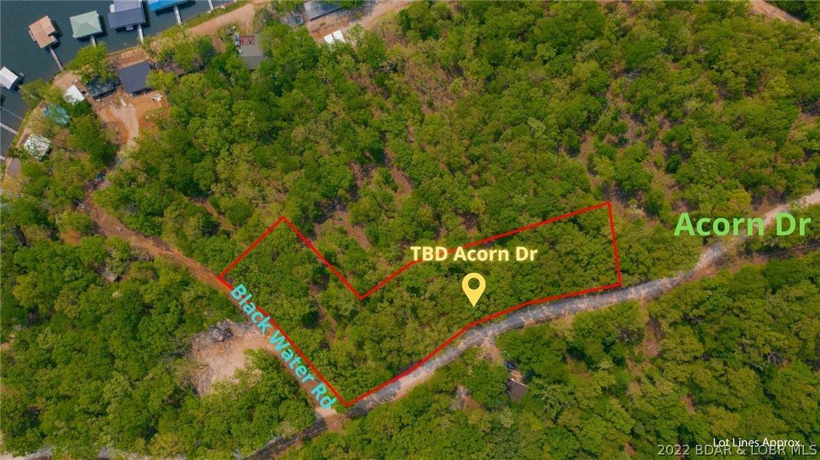 TBD Acorn Drive - Photo 1