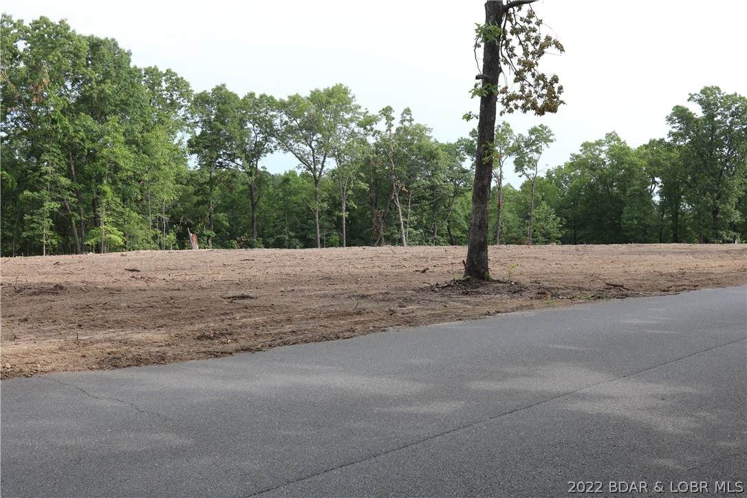 Lot 4 Bass Point Road - Photo 1