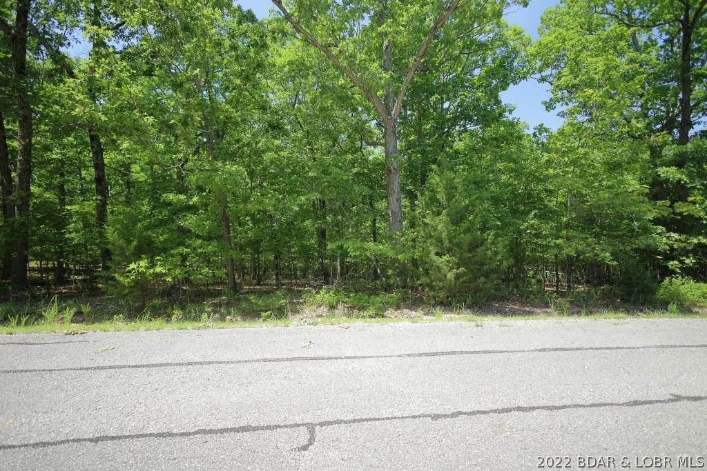 Lot 646 Fox Run - Photo 1