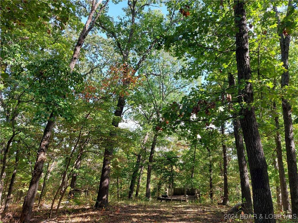 30915 Broken Circle Road - Photo 1