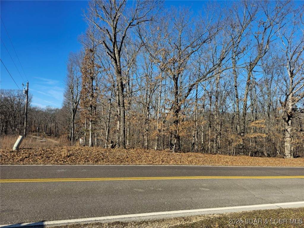 Lots 1,3,5 Dogwood Lake Drive - Photo 1