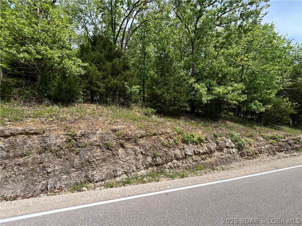 Lot 1152 Salem Drive - Photo 1