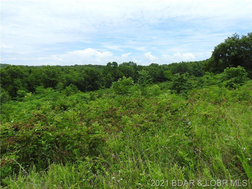 TBD Highway W 333 Acres - Photo 1