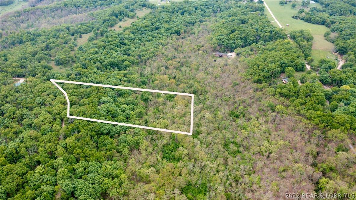 Lot 17 Springdale Lane - Photo 1