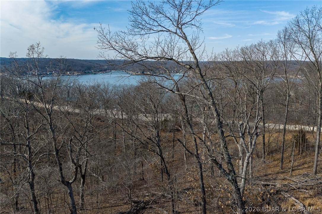 https://bt-photos.global.ssl.fastly.net/ozarks/orig_boomver_4_3578644-2.jpg