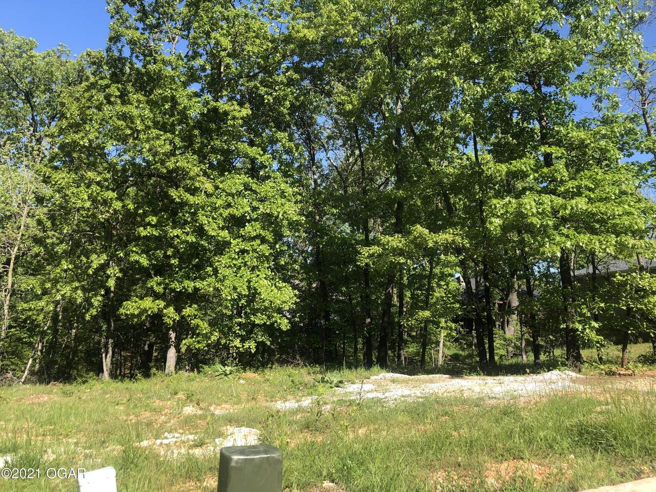 TBD Scenic Avenue - Photo 1