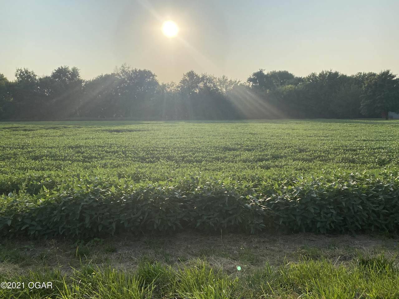 TBD County Road 290 - Photo 1