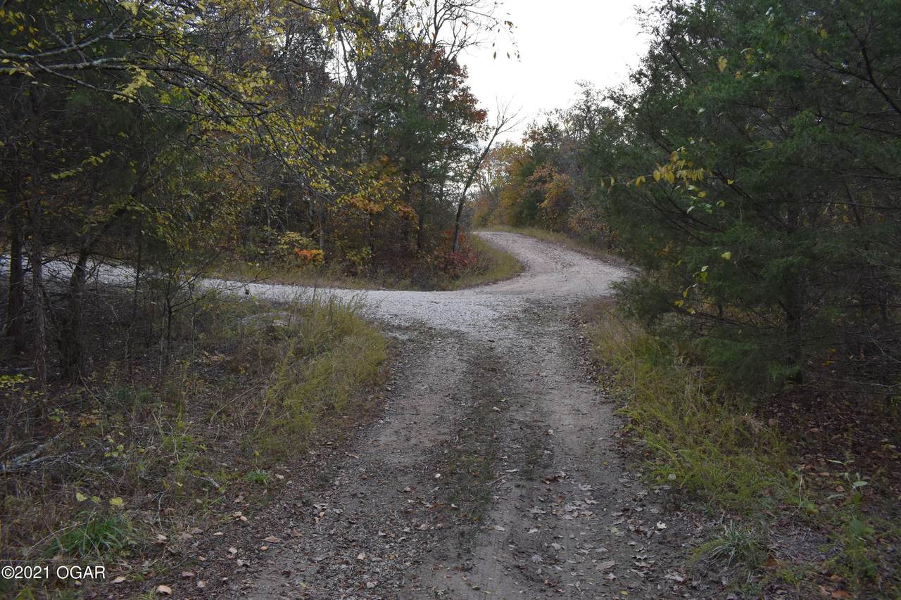 000 Gumbo Woods - Photo 1