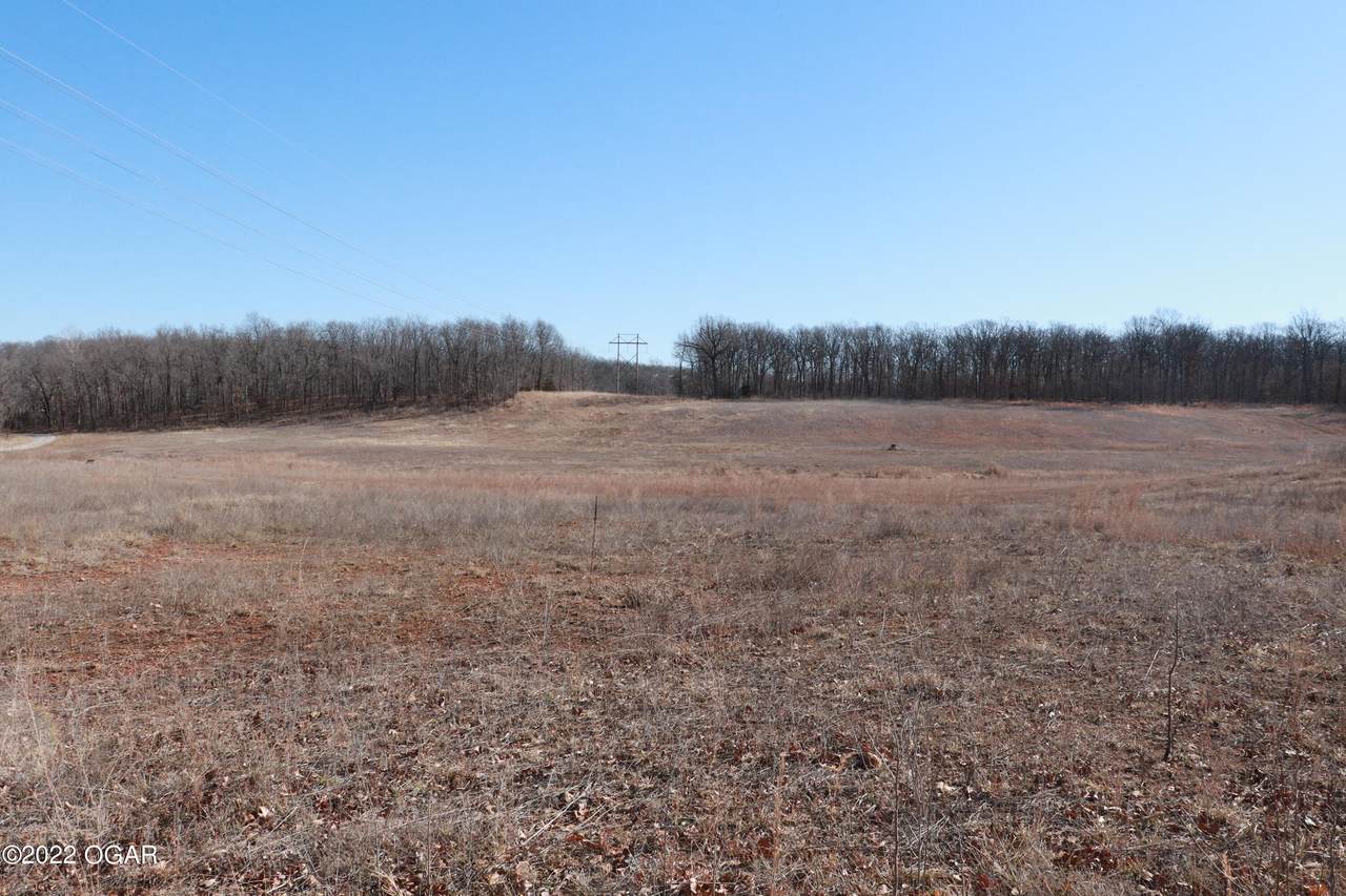 000 Dogwood Lane - Photo 1