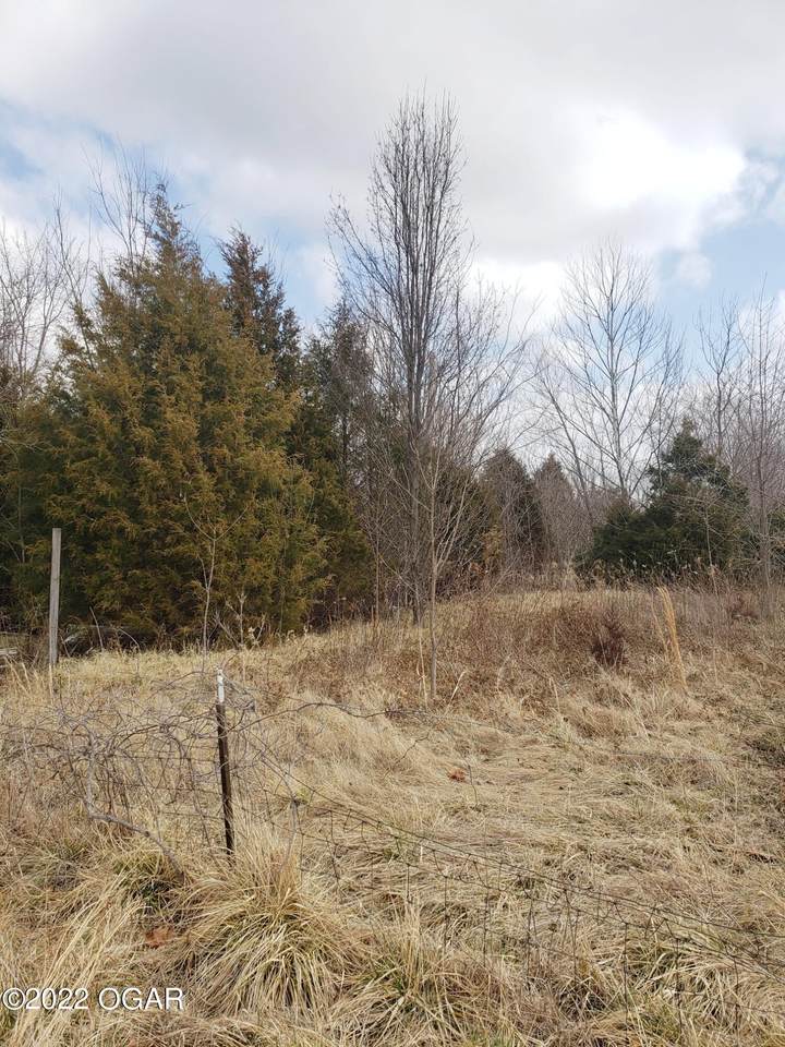 000 Belle Center Road - Photo 1
