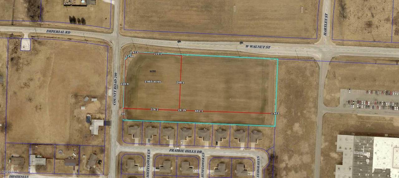 8284 County 290 And Walnut Road - Photo 1