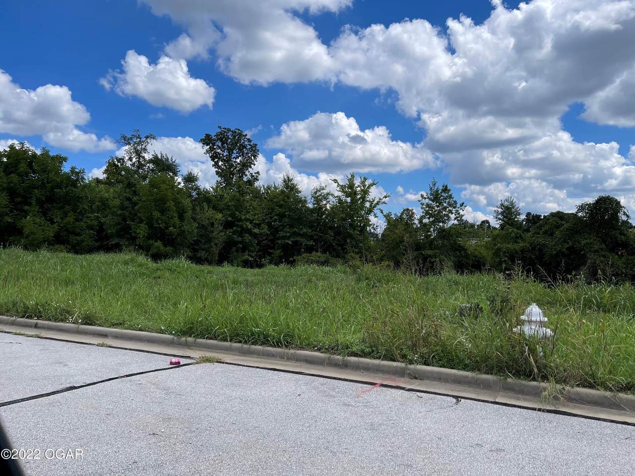 Lot 5 Kenser Court - Photo 1