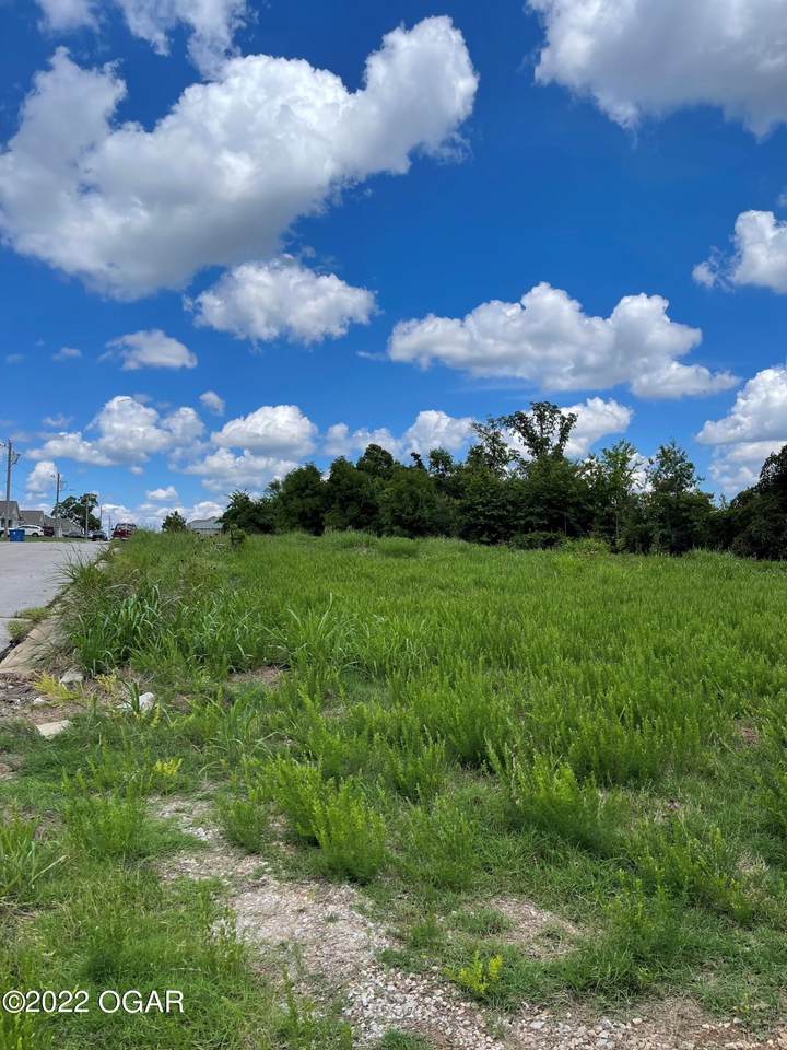 Lot 11 Kenser Court - Photo 1