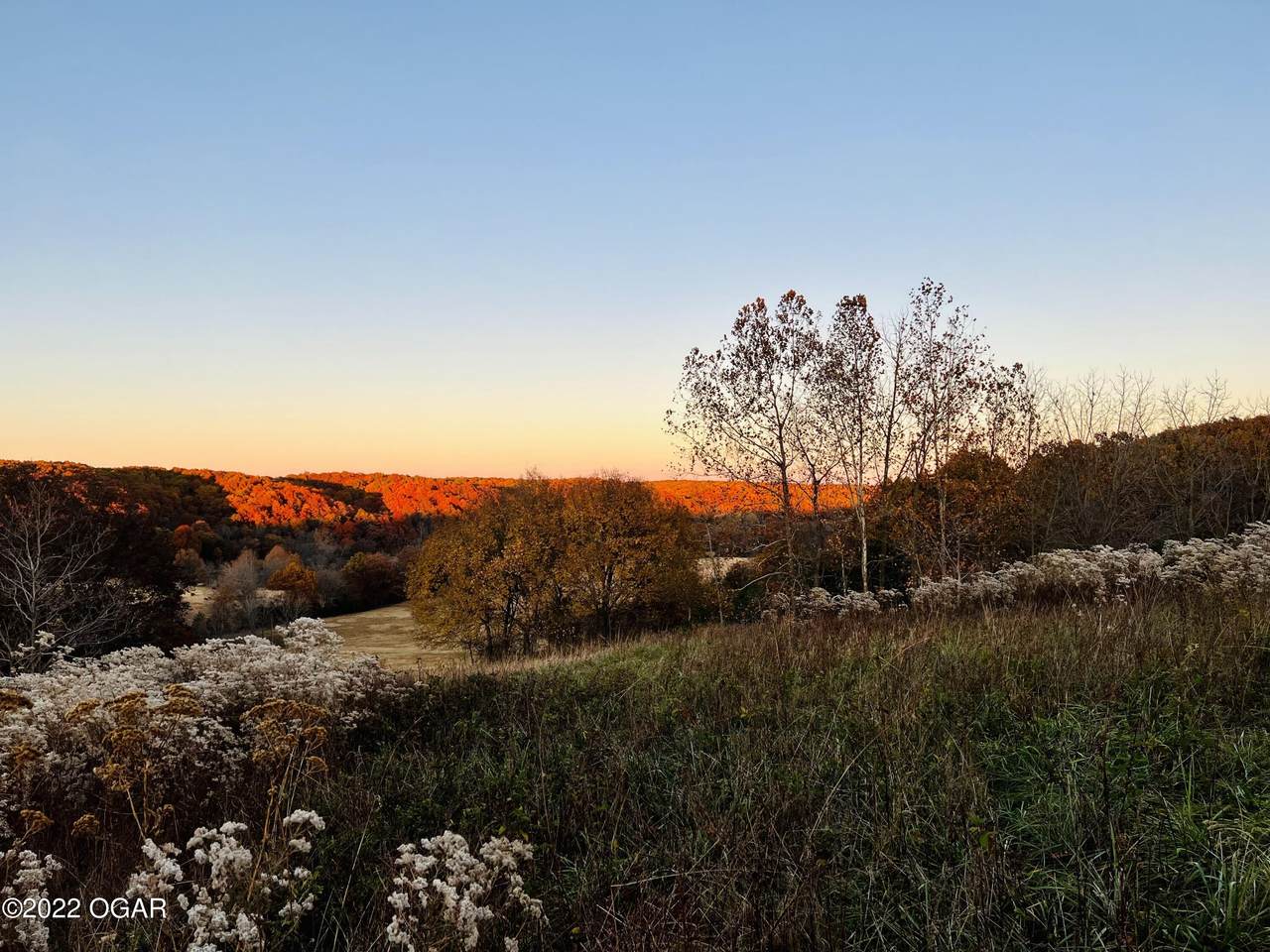 xxx Beaman Hollow Rd Road - Photo 1