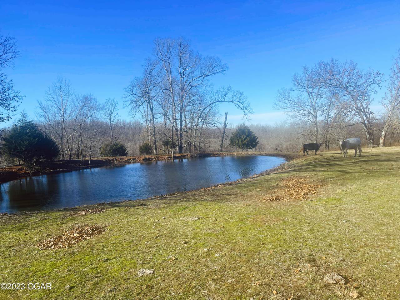 TBD 76 State Highway - Photo 1