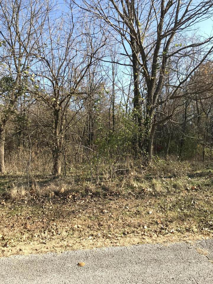 Lot 23 Rock Creek - Photo 1