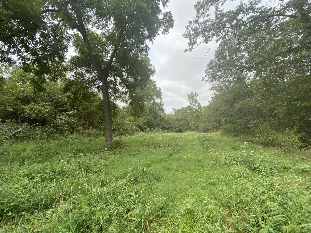 xxx Pendergraft Road - Photo 1
