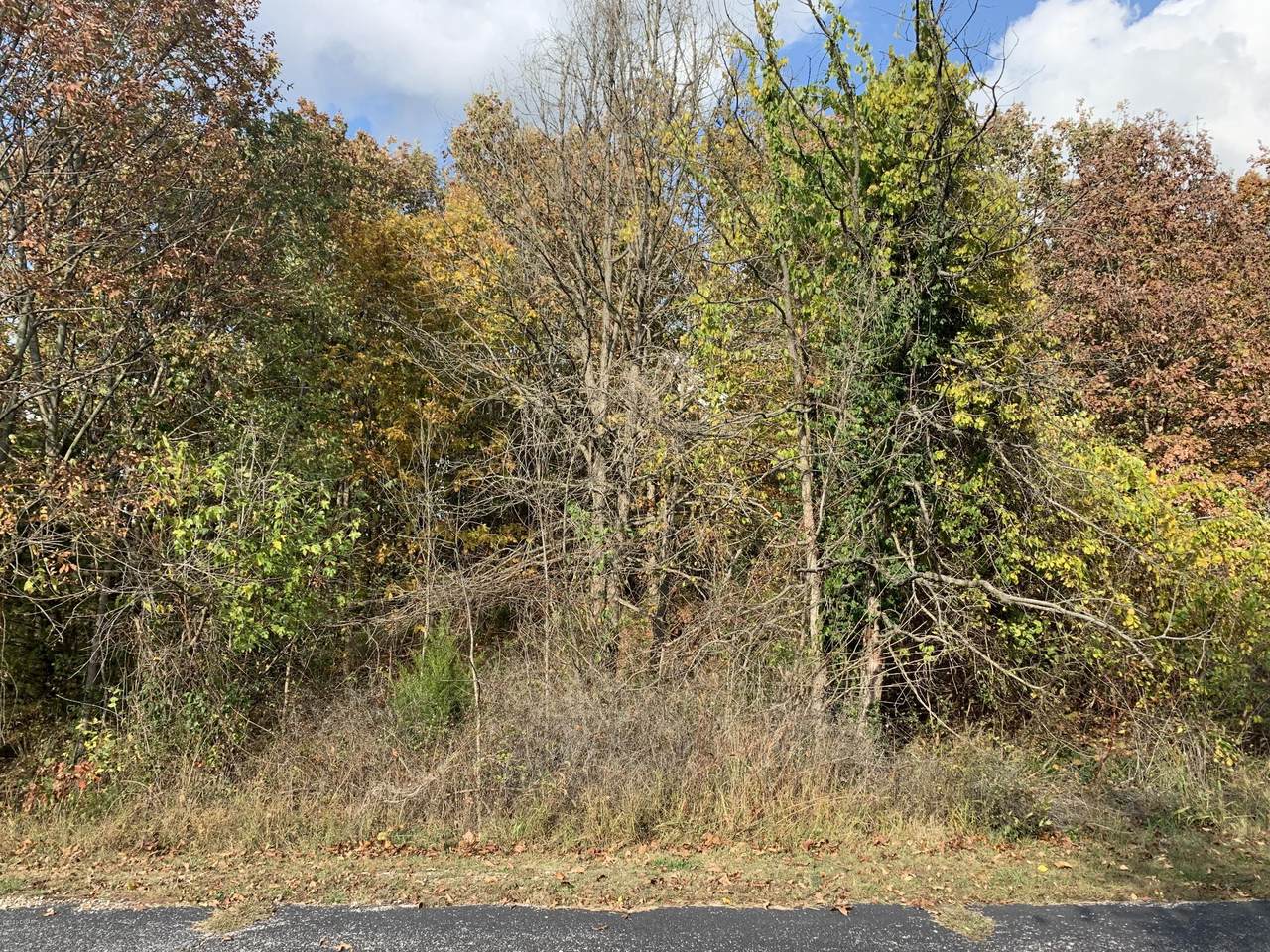 XX Fairway Drive - Photo 1