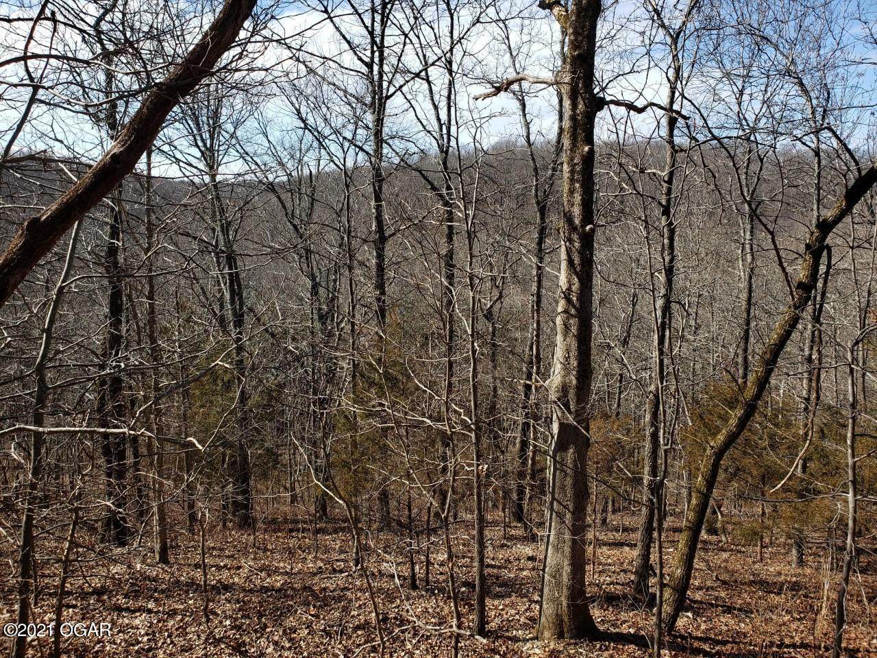 TBD Flag Springs Road - Photo 1