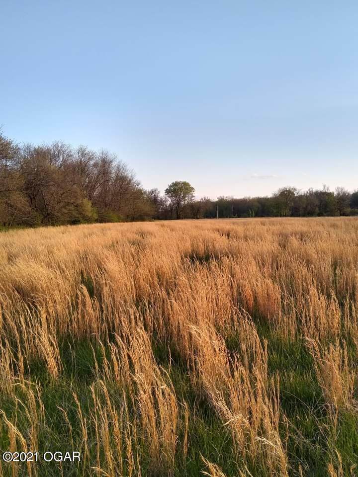TBD Corner Of County Road 90 & Oak - Photo 1