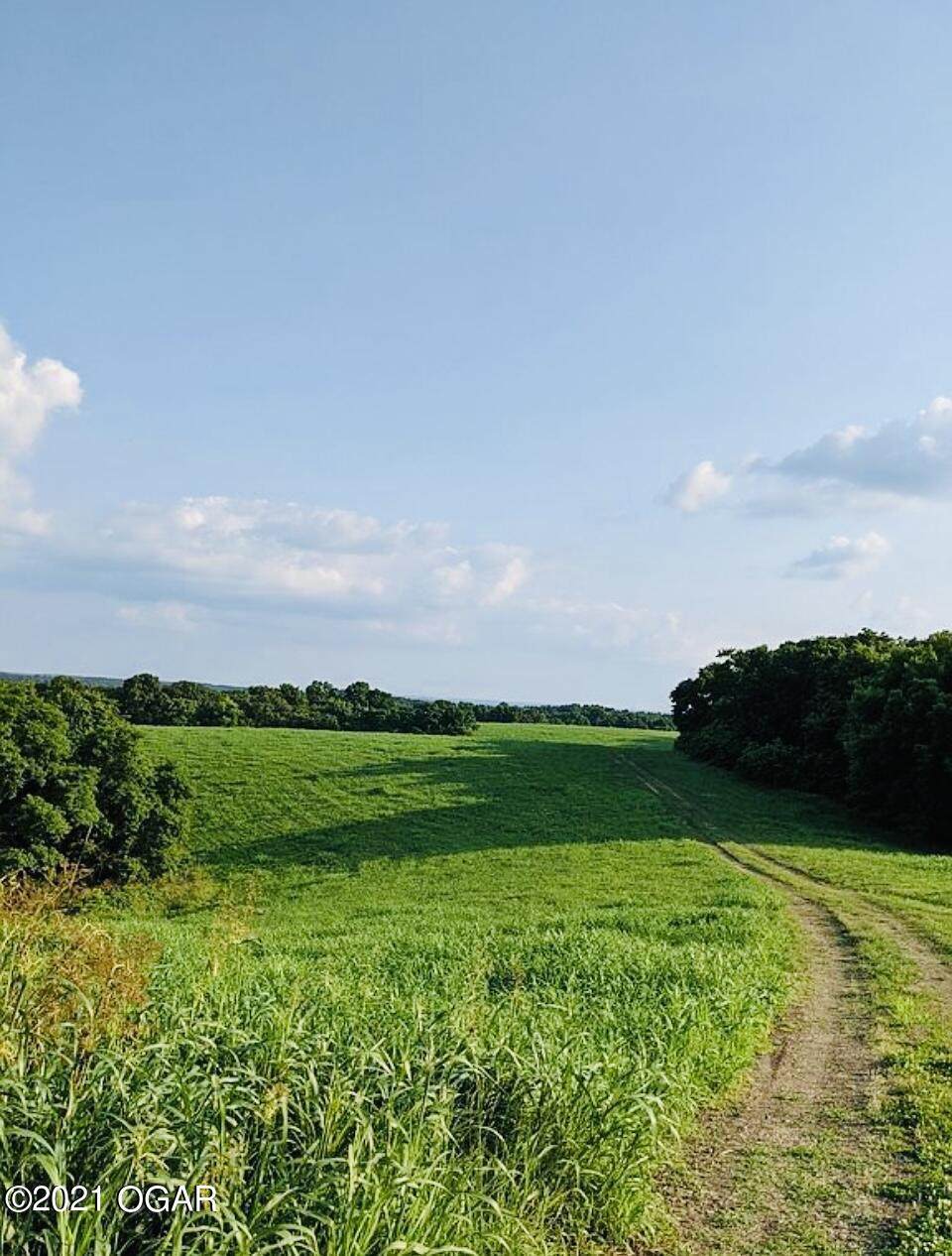 Lot 10 Higher Meadows - Photo 1