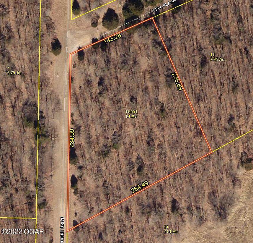 Lot 166 Loma Linda South - Photo 1