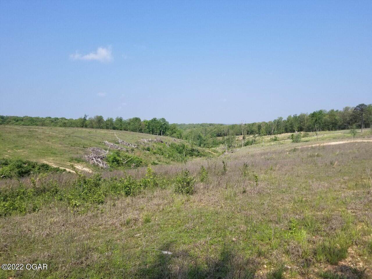 000 B 71 Highway - Photo 1