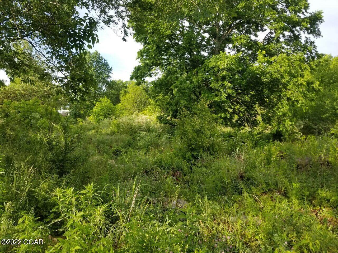 000 Sutter Hollow Road - Photo 1