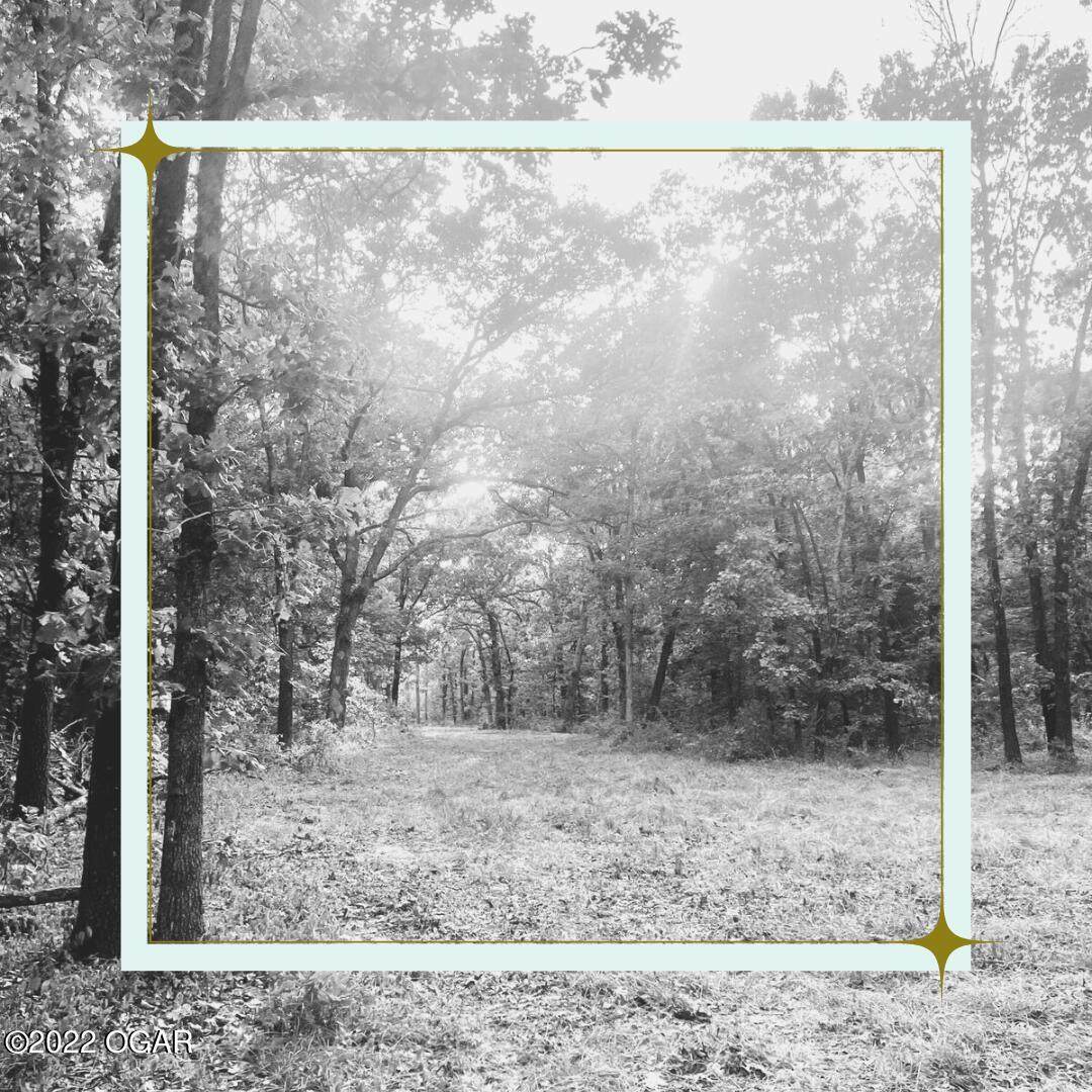 6414 Hwy Nn - Photo 1