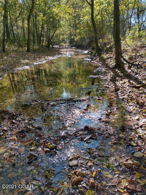 XXX Springflood/Adams - Photo 1
