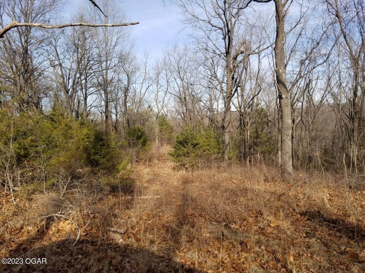 Lot 13 Dogwood Drive - Photo 1