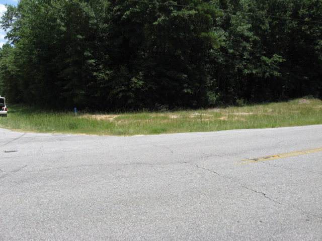 Norway Road - Photo 1