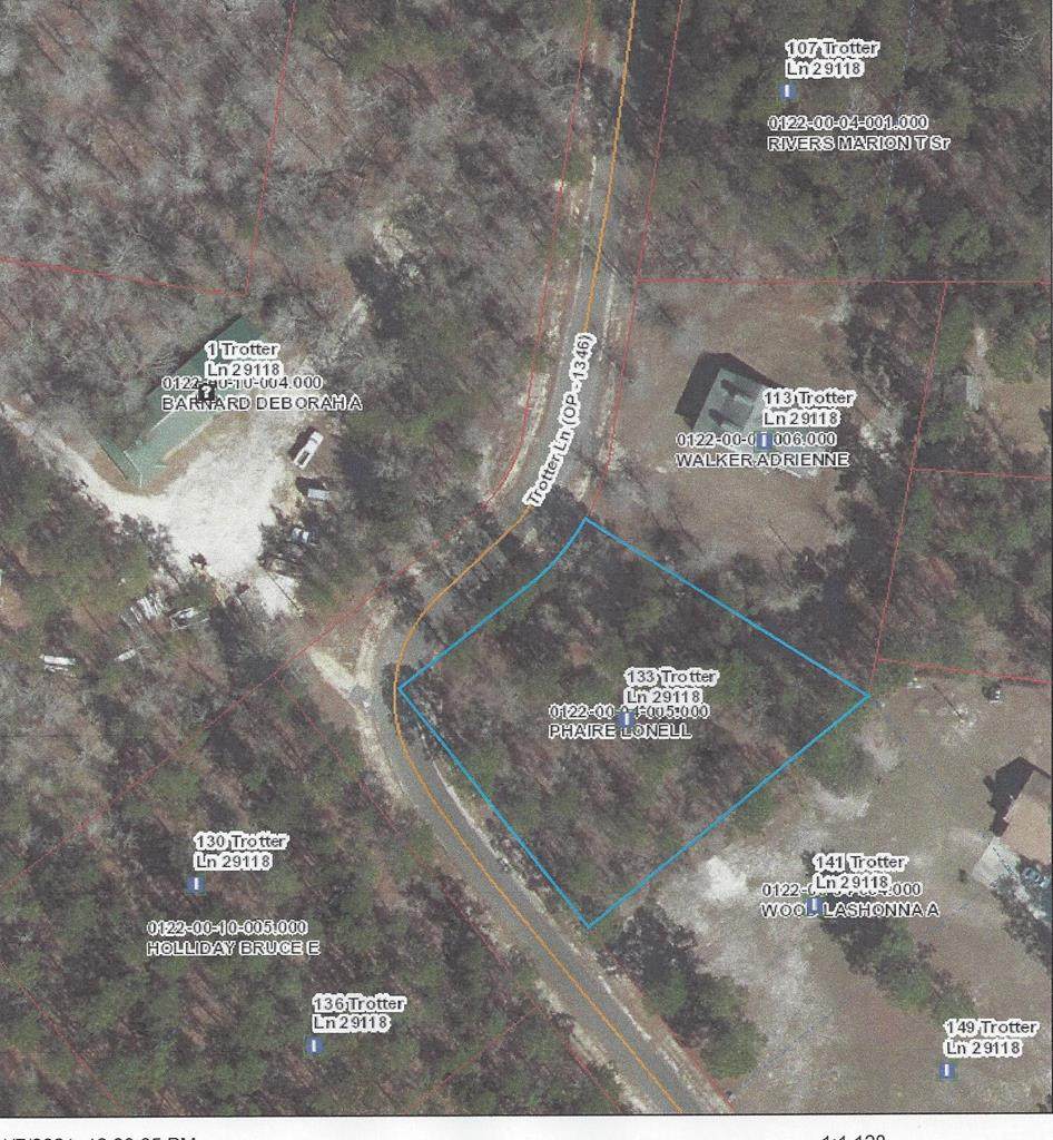 133 Trotter Lane - Photo 1