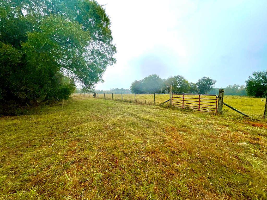 Orange Grove Rd - Photo 1