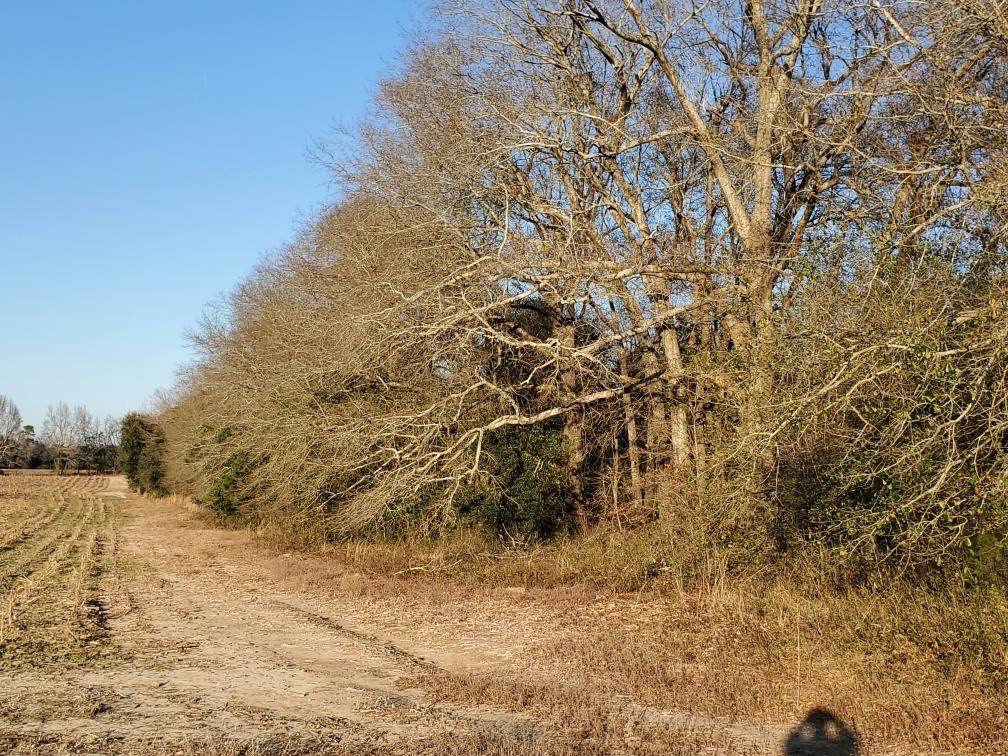 0 Water Tank Road - Photo 1