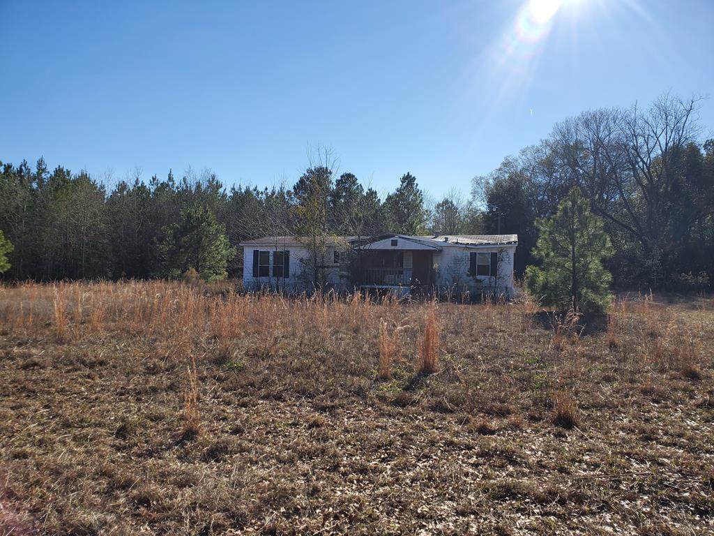 250 Bill Salley Road - Photo 1
