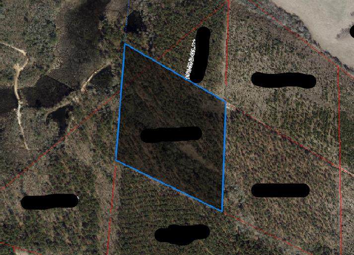 0 Salley Rd - Photo 1