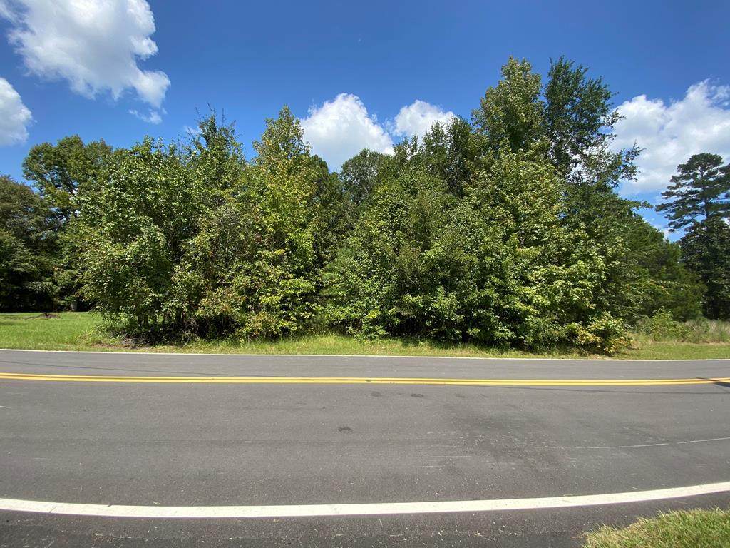 0 Pinewood Drive - Photo 1